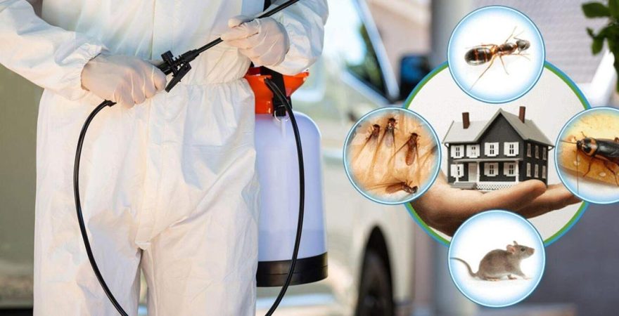 Toprakkale Böcek İlaçlama