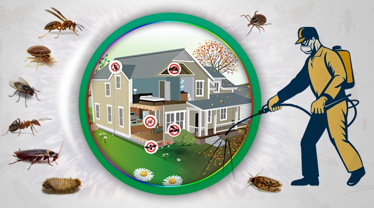 Toprakkale Böcek İlaçlama