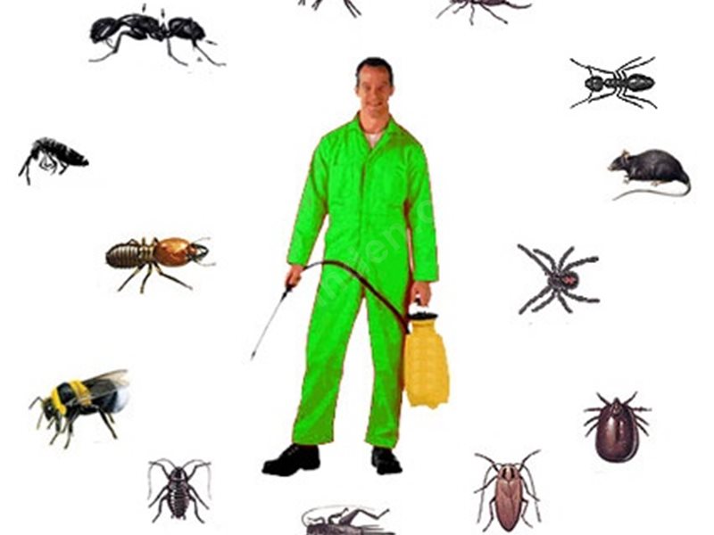 Toprakkale Böcek İlaçlama